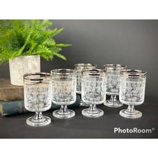 Set of 6 Wine Goblets CIVAM 1946 Murano Italy Etched with Silver Colored Trim