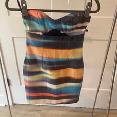 Xs runway the label dress