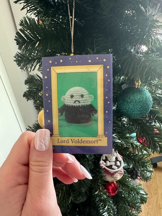 *Very Rare* Voldemort Card from the Harry Potter Collector's Box by Woobles 2024