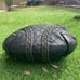 Isabella Fiore Hobo Bag
