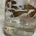 Vintage Midcentury George Briard Goldfish Cocktail Glass