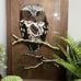 Vintage 1980’s Reverse Painted Acrylic Woodland Winter Owl Wooden Bird Picture
