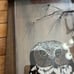 Vintage 1980’s Reverse Painted Acrylic Woodland Winter Owl Wooden Bird Picture