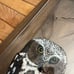 Vintage 1980’s Reverse Painted Acrylic Woodland Winter Owl Wooden Bird Picture