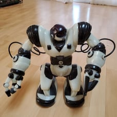 Robosapien