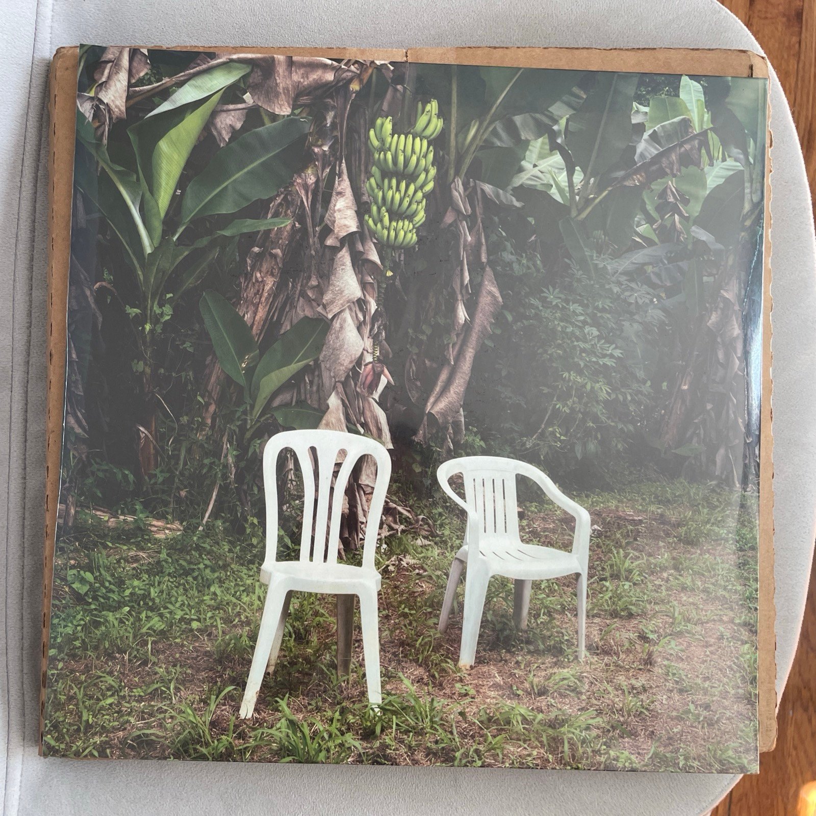 Bad Bunny DeBÍ TiRAR MáS FOToS Double LP Vinyl Gatefold IN HAND new sealed