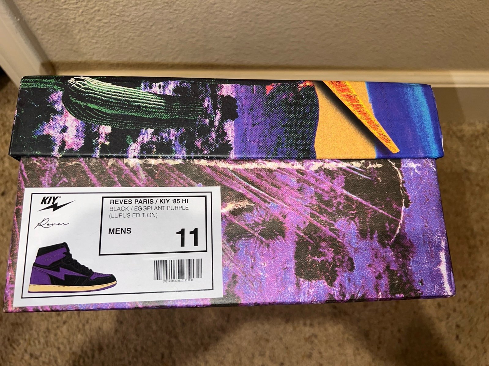 Kool Kiy/Reves Paris Lupus edition shoes in men’s size 11 used