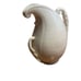 LENOX PORCELAIN CARVED LEAF PITCHER JUG GREEN MARK OLD RARE green stamp, cream