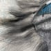 Tabby cat Therian/quadrobics mask (!!AIRBRUSHED!!)