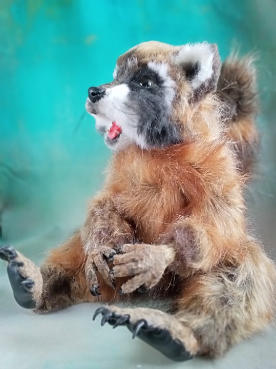 Plush Animal Raccoon Pet Replica Realistic Animal Soft Sculpture