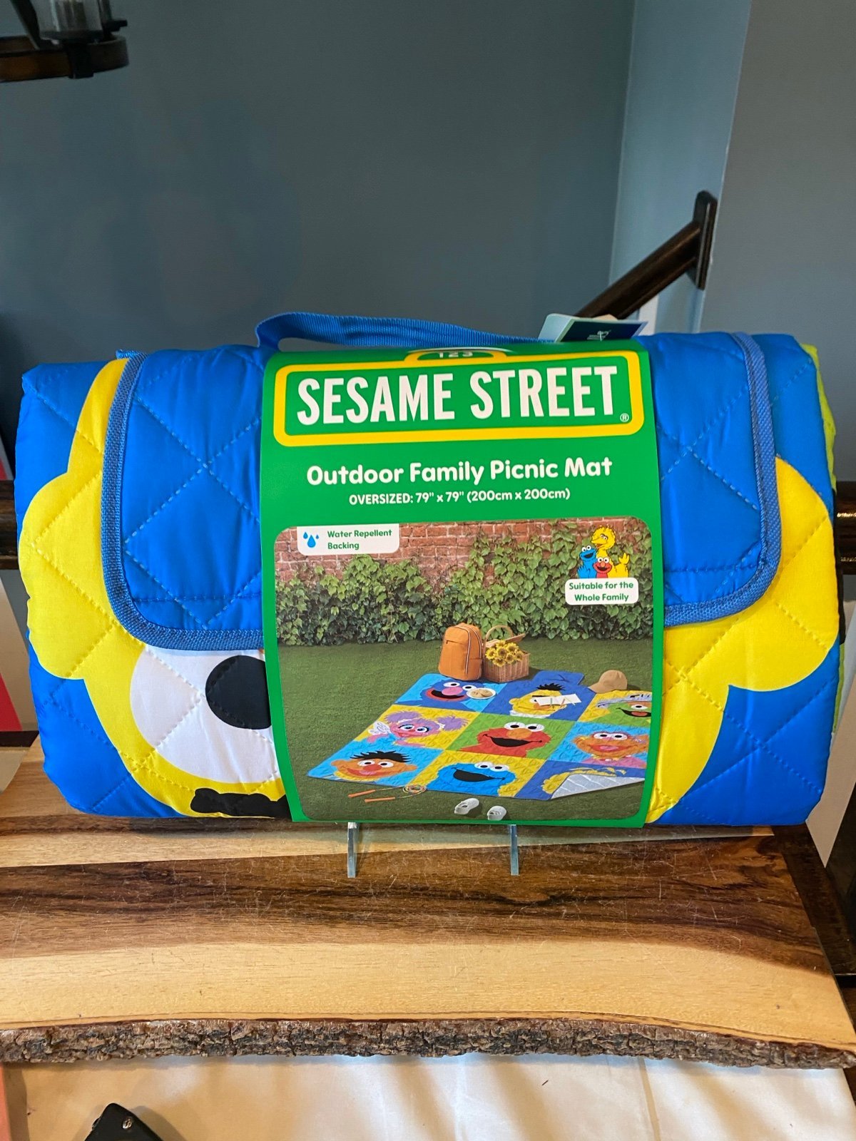 LAST ONE HTF VIRAL Sesame Street Oversized Family picnic blanket 70”x70”-FIRM