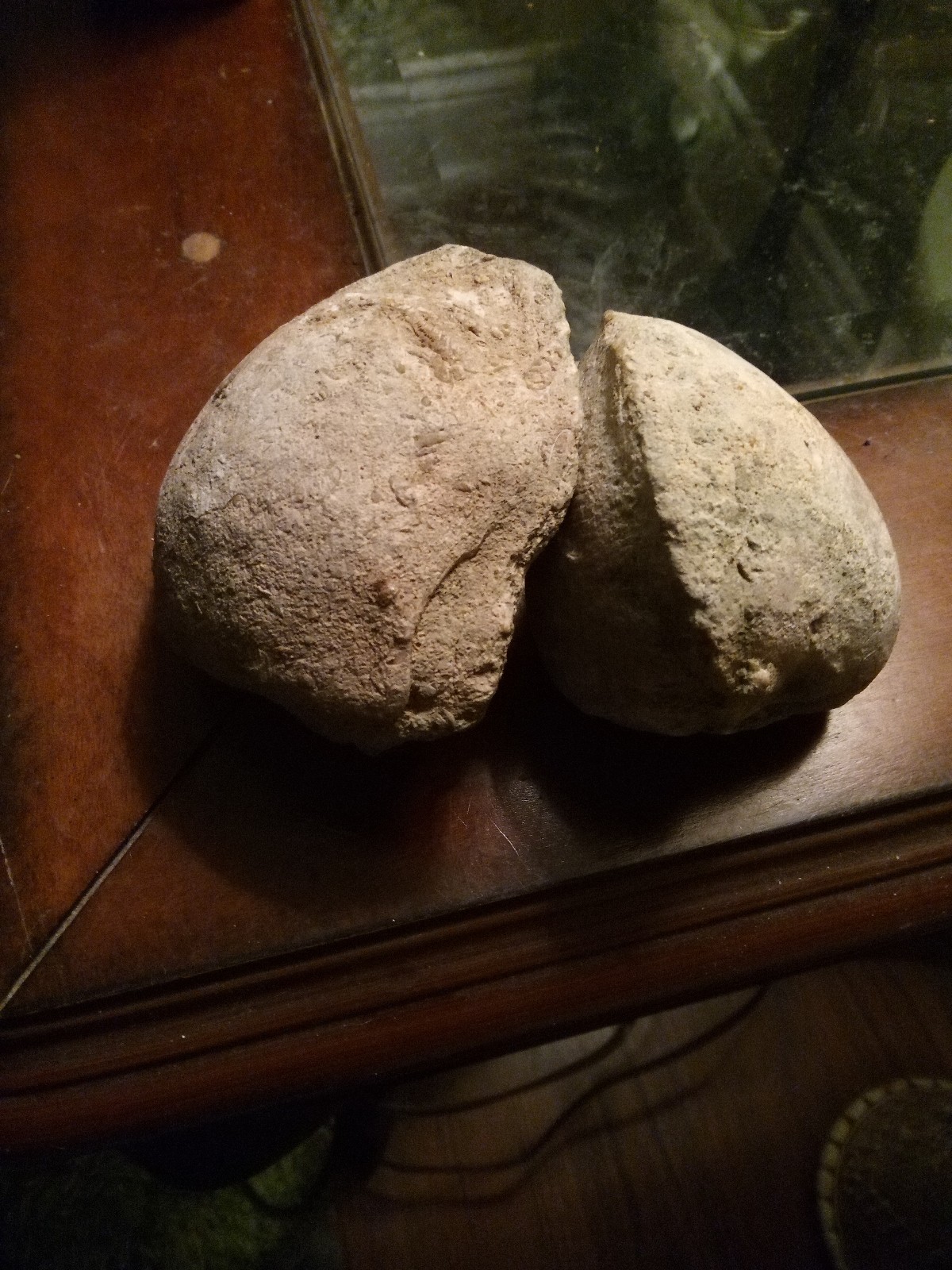 100 million year old stone petrified Dyno eggs!!!! 20grand is my price a piece