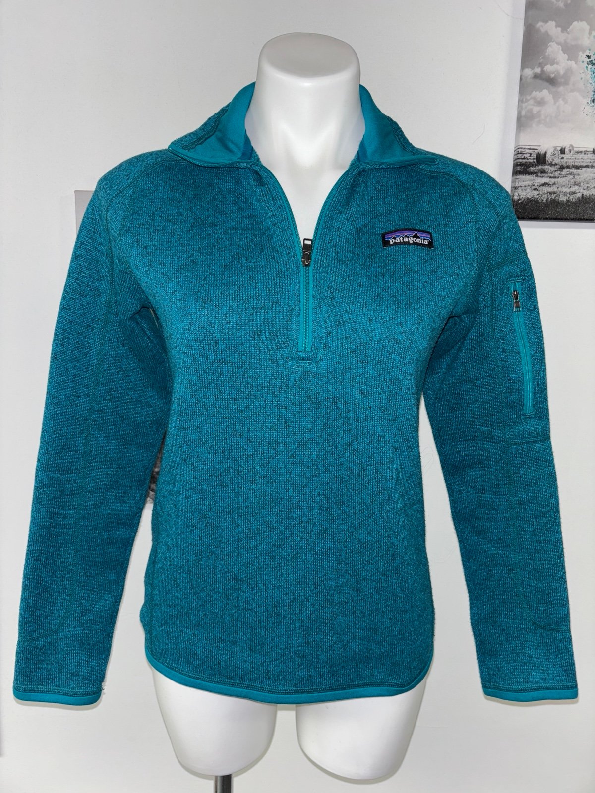 Patagonia better sweater women’s size small. No rips no stains