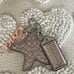 Coach hang tags