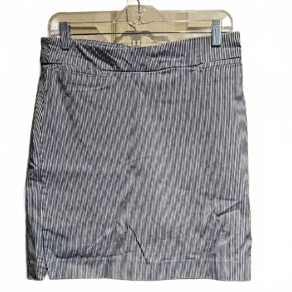 Briggs Striped Blue and White Skirt size 10