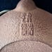 Japanese Cast Iron Tea Pot Cherry Blossom Pattern
