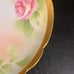 Antique Limoges Plate • Hand Painted • Signed