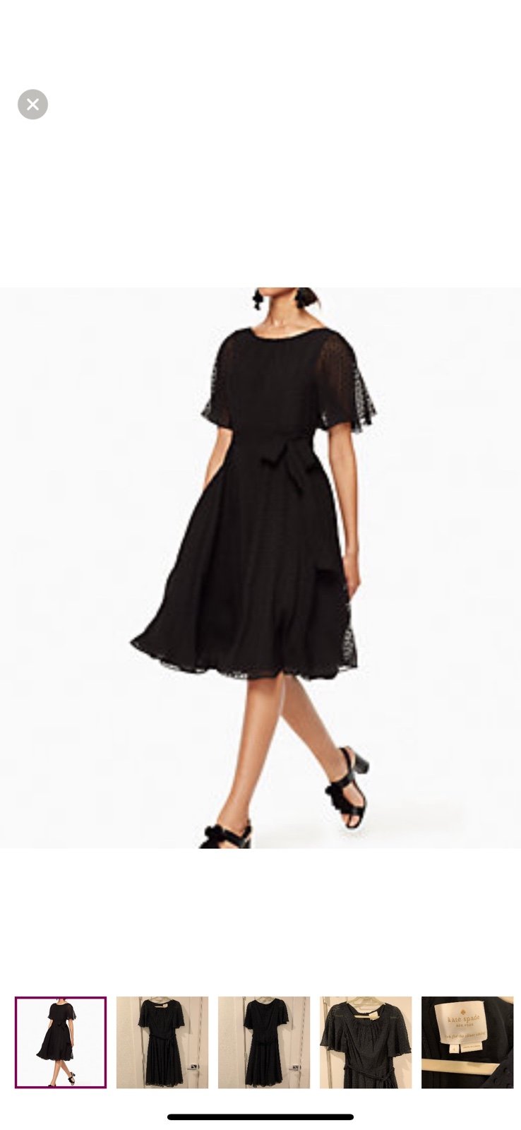 NWT Kate Spade Spice Things Up Clipped Silk Chiffon Dress (paprika) size 2