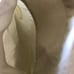Land’s End Traditional Fit Men Chino Short…