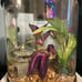 Fish tank with decorations