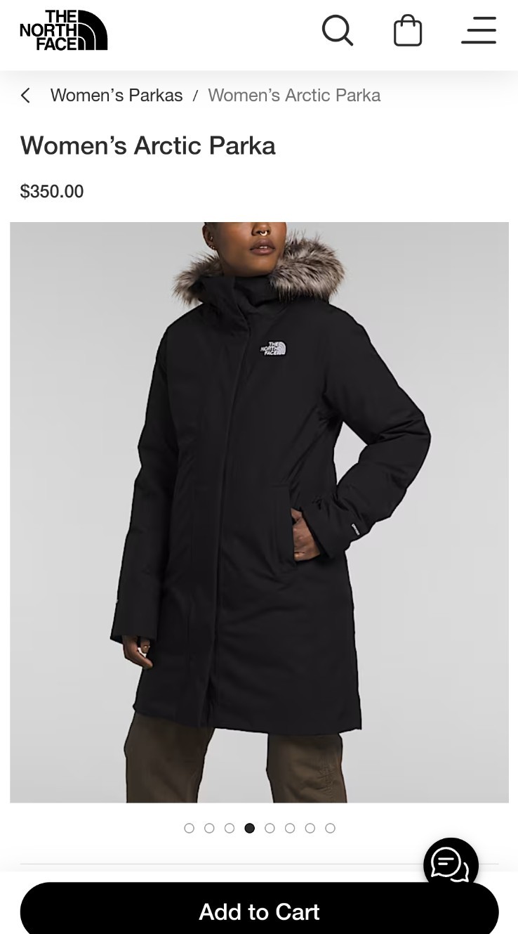 The North Face Artic Hooded Parka