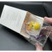 Brand New! 2009 Hallmark Wuv My Tunes! Tweety Looney Tunes Ornament -29D