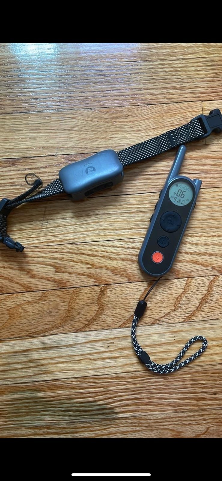dog shock collar