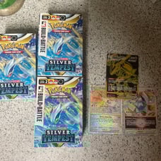 Pokemon Sword and Shield Silver Tempest Build and Battle