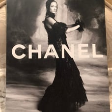 Fashion Magazine