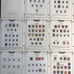 US Commemoratives Collection In Minkus US Album 1869 Is To 1965