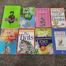 Roald Dahl Book Lot