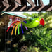 Gabby Natural colored Green Parrot that has always been a customer favorite