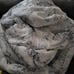 Sherry kline comforter
