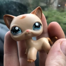 littlest pet shop short haircat #1024