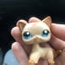 littlest pet shop short haircat #1024