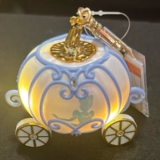 Cinderella carriage pocketbac