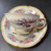 Castleton China Made in USA Castleton Rose Pink Teacup & Saucer