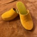Charlotte stone martino clogs