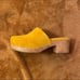 Charlotte stone martino clogs
