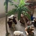 Nativity scene