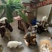 Nativity scene