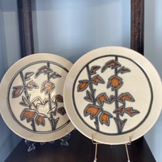 Set of 2 1970's Crown Lynn Earthstone Autumn D628 Pattern Plates
