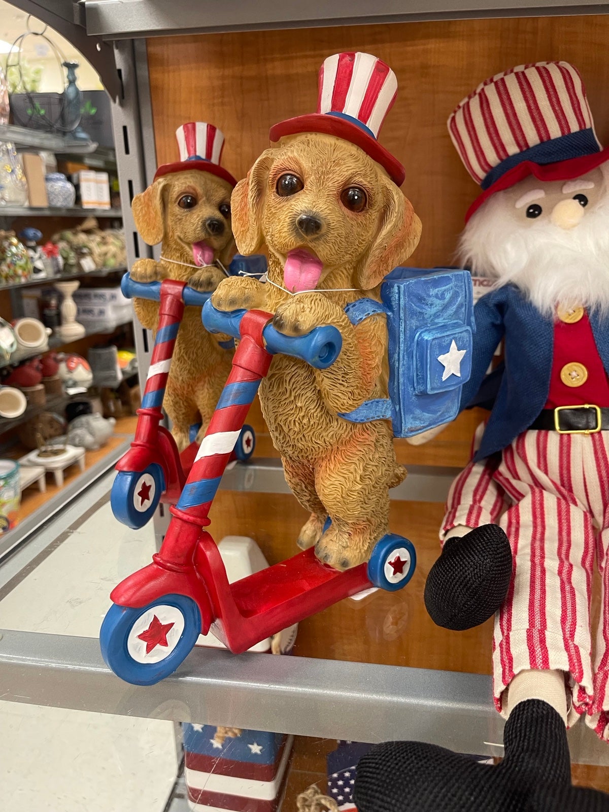 4th of July Dog on Scooter