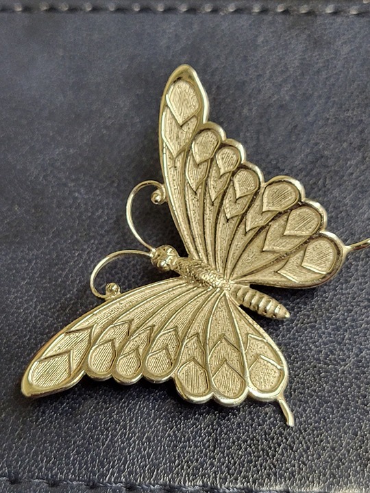 Beau Sterling Silver Butterfly Brooch. Stunning. Classy. Fashionable.