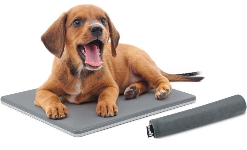 Outdoor Pet Heating Pad