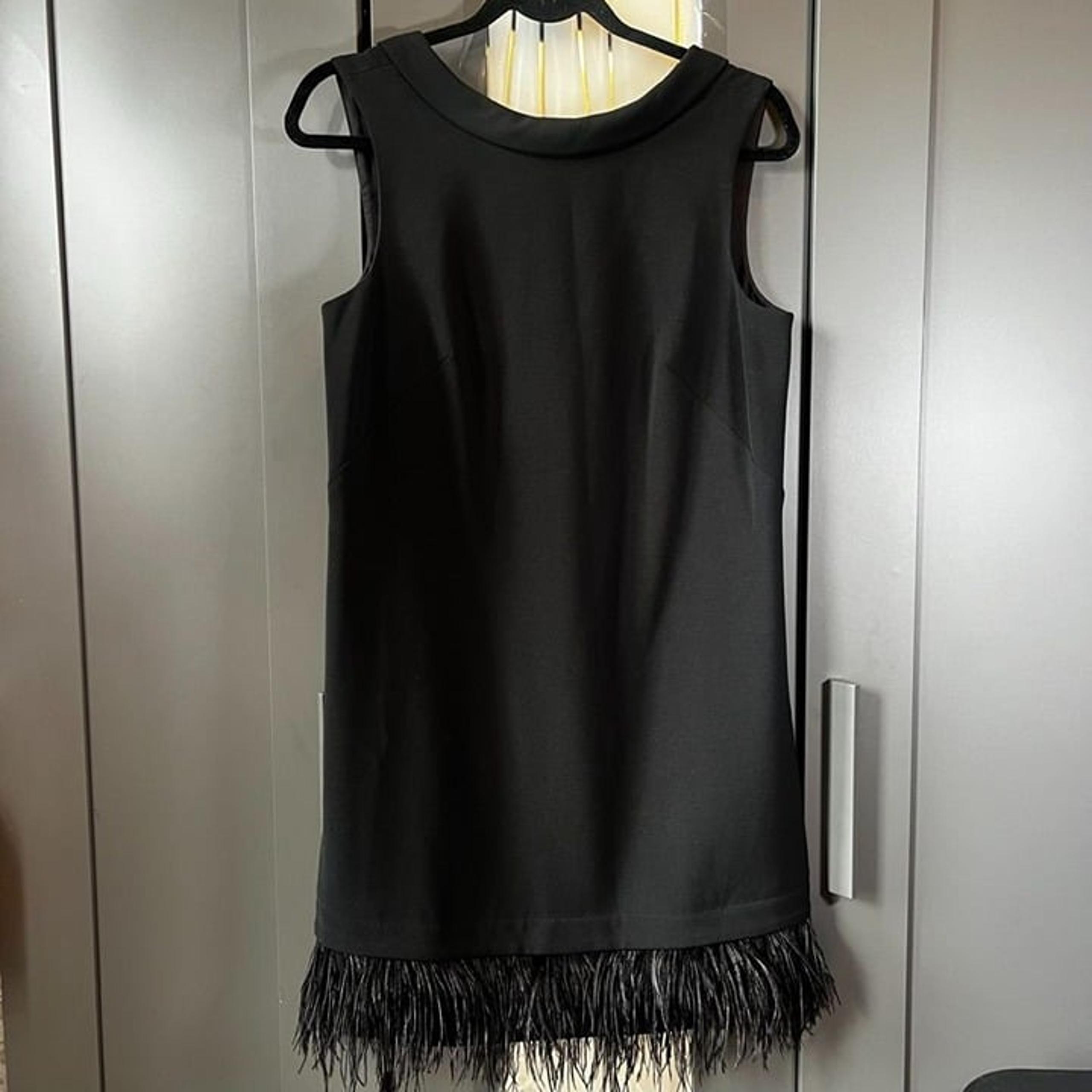 Ann Taylor  Black  Flapper  Dress  Feather Hem Size 6