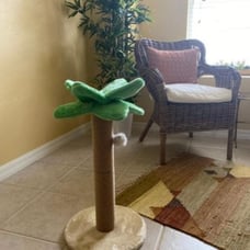 Cat Scratching Post Tree Toys Tower Litter Box Bed House Kitten Condo Perch Indo