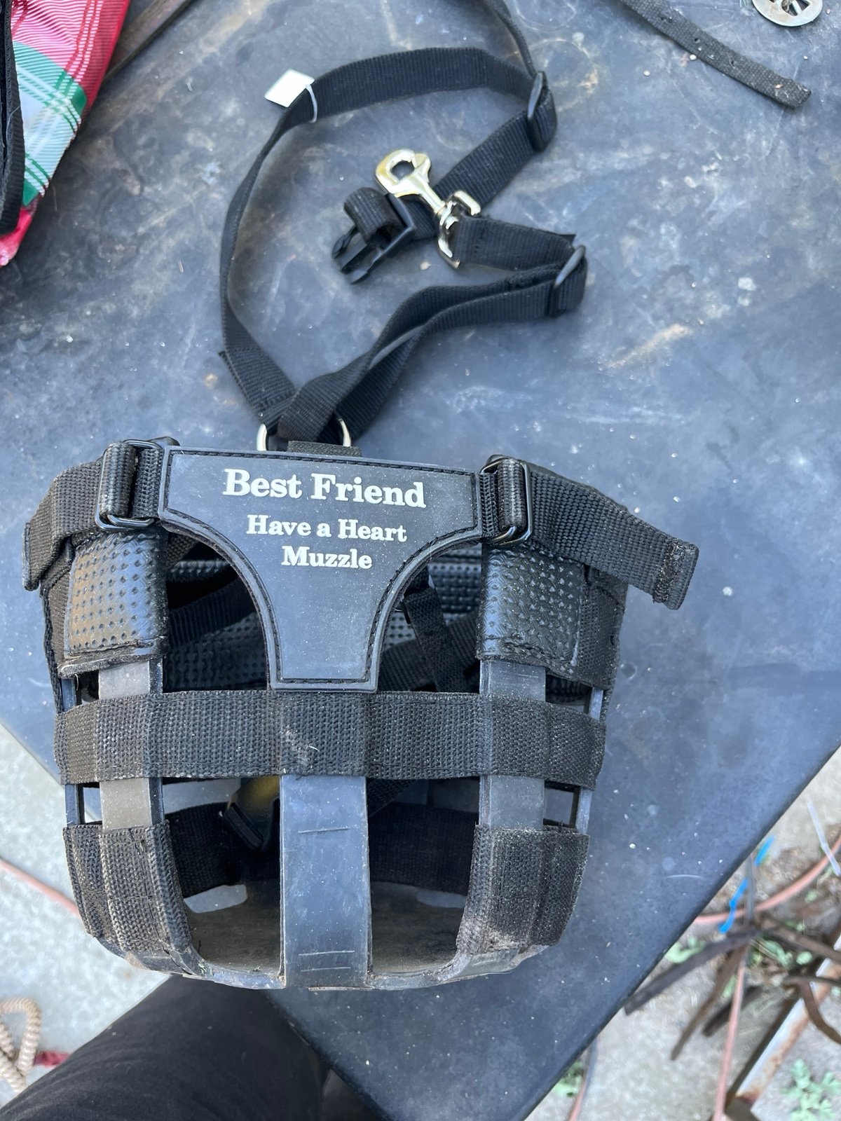 Grazing muzzle cob size