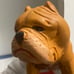 Dog piggy bank
