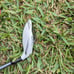 TaylorMade Burner SuperFast 2.0 Hybrid
